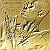 Book Suggestion: I, Black Pharaoh: Golden Age of Triumph