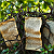 Article: Thorns of the Living Word: Scripture Entwined in the Verdant Silence