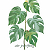 Article: The role of money plant in our lives.